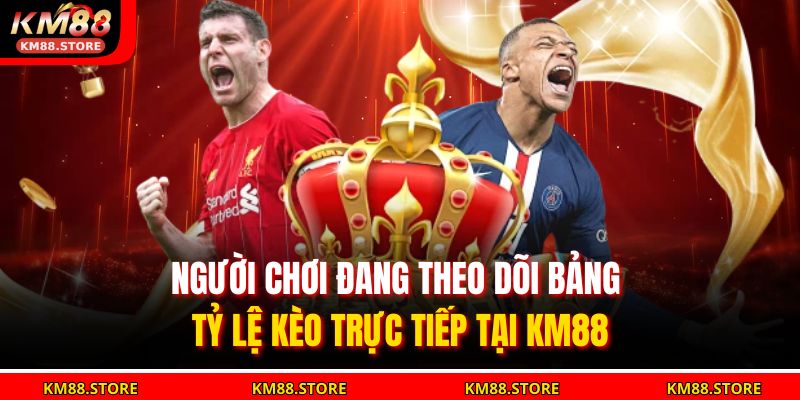 Người chơi đang theo dõi bảng tỷ lệ kèo trực tiếp tại KM88